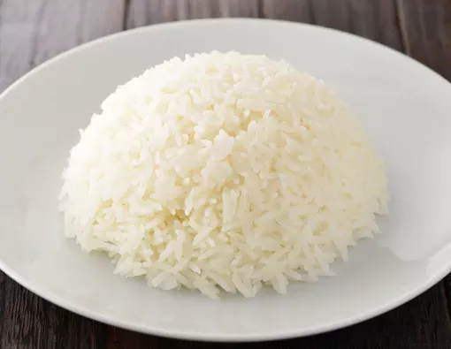 Nasi Biasa
